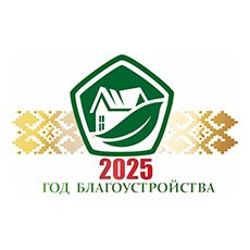 2025 год — Год благоустройства